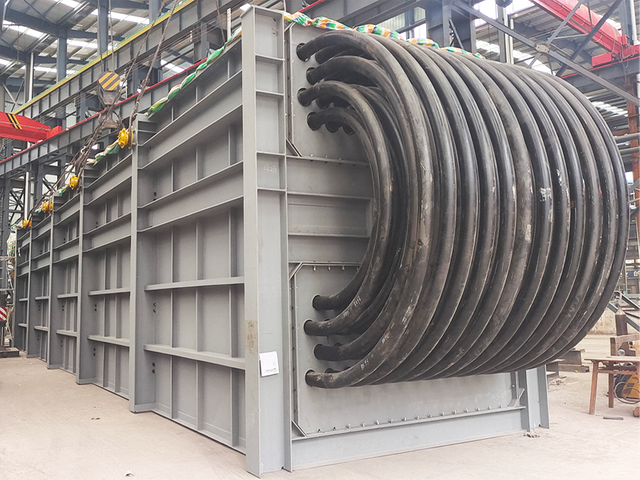 Convection section module